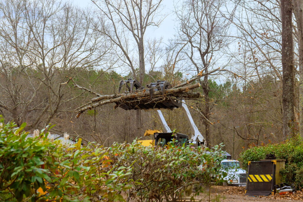 Heavy machinery lifts fallen tree branches during cleanup operation in rural area